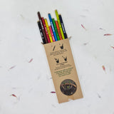 Devraaj Eco - Friendly Plantable Colour Paper Seed Pencils In Box Packing - DEVRAAJ HANDMADE PAPER, PLANTABLE SEED PAPERS & PAPER PRODUCTS - Colour