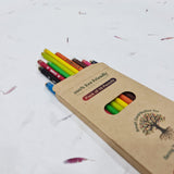 Devraaj Eco - Friendly Plantable Colour Paper Seed Pencils In Box Packing - DEVRAAJ HANDMADE PAPER, PLANTABLE SEED PAPERS & PAPER PRODUCTS - White