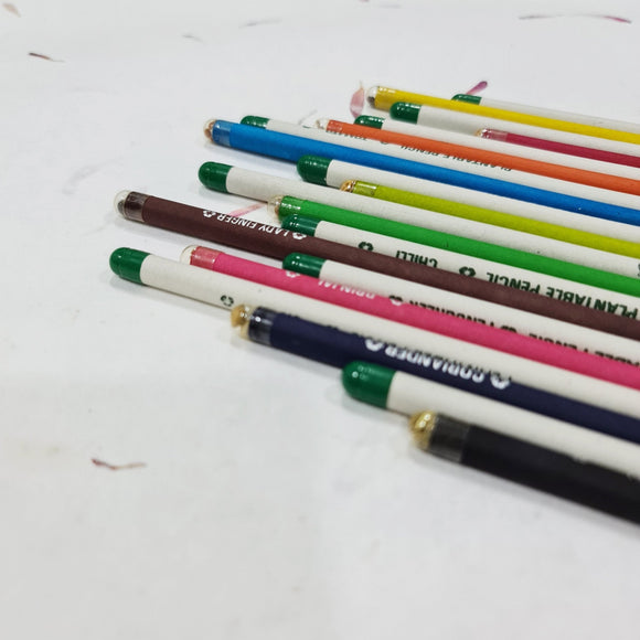 Devraaj Eco - Friendly Plantable Colour Paper Seed Pencils In Box Packing - DEVRAAJ HANDMADE PAPER, PLANTABLE SEED PAPERS & PAPER PRODUCTS - White