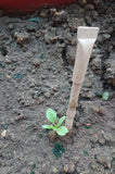 Devraaj Eco - friendly Plantable Seed Pens - Loose Packing - DEVRAAJ HANDMADE PAPER, PLANTABLE SEED PAPERS & PAPER PRODUCTS - 25