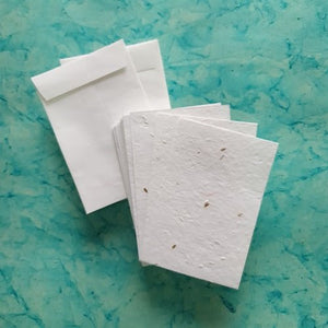 Eco - friendly Plantable Carrot Seed Paper cards with Envelopes set of 50 pcs - DEVRAAJ HANDMADE PAPER, PLANTABLE SEED PAPERS & PAPER PRODUCTS - 5.5"x8.25"