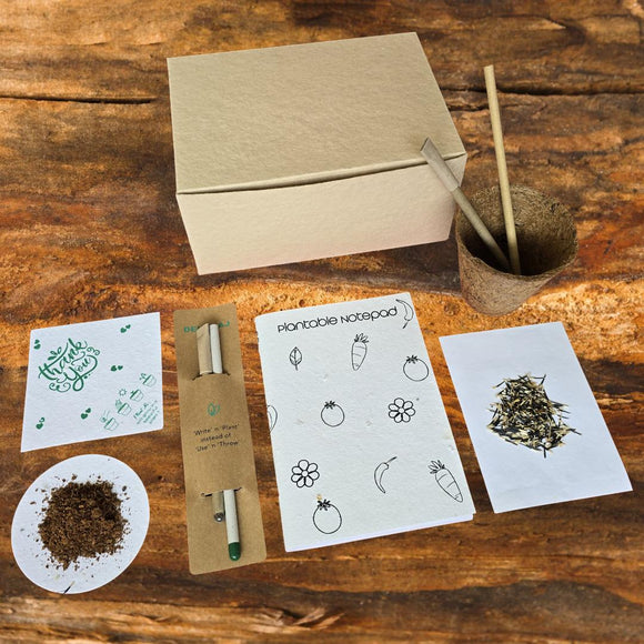 Eco - Friendly Plantable Mini Grow Kit Set - DEVRAAJ HANDMADE PAPER, PLANTABLE SEED PAPERS & PAPER PRODUCTS - 