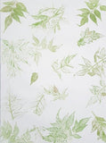 Leaf impression Paper - DEVRAAJ HANDMADE PAPER, PLANTABLE SEED PAPERS & PAPER PRODUCTS - 