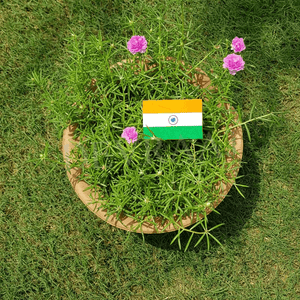 Plantable Seed Paper Indian Flags - DEVRAAJ HANDMADE PAPER, PLANTABLE SEED PAPERS & PAPER PRODUCTS - 