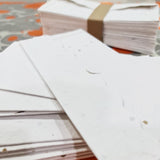 Plantable Seed Paper Money Envelope - DEVRAAJ HANDMADE PAPER, PLANTABLE SEED PAPERS & PAPER PRODUCTS - 